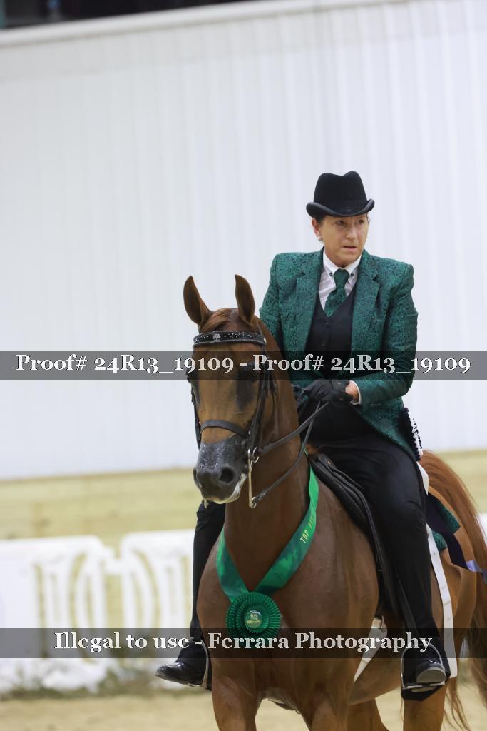 Proof 24R13_19109