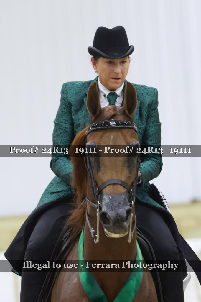 Proof 24R13_19111