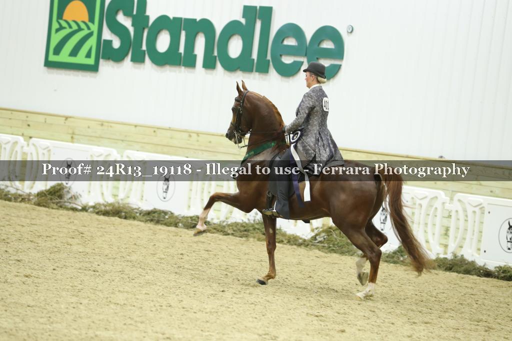 Proof 24R13_19118