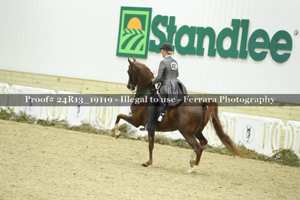 Proof 24R13_19119