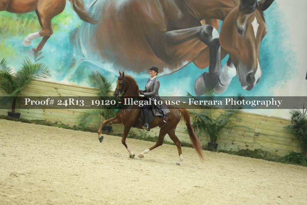 Proof 24R13_19120