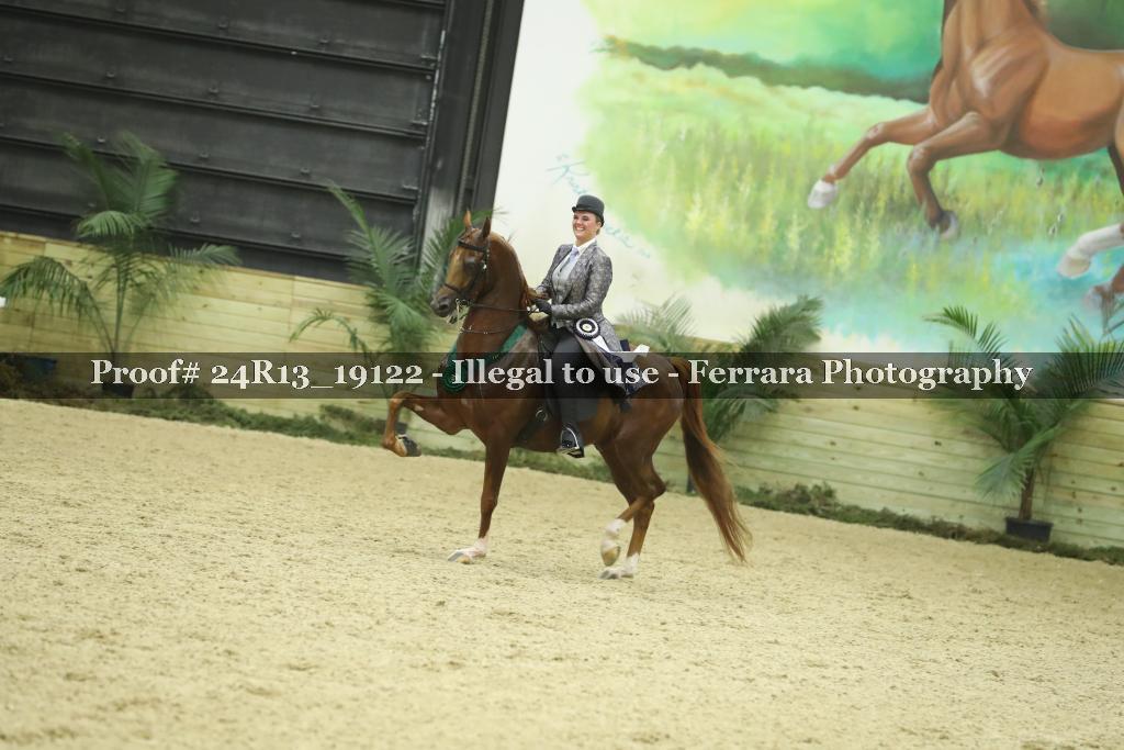 Proof 24R13_19122