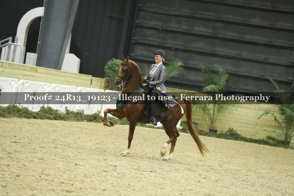 Proof 24R13_19123