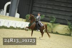 24R13_19123 proof