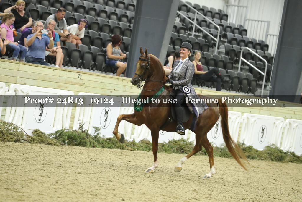 Proof 24R13_19124