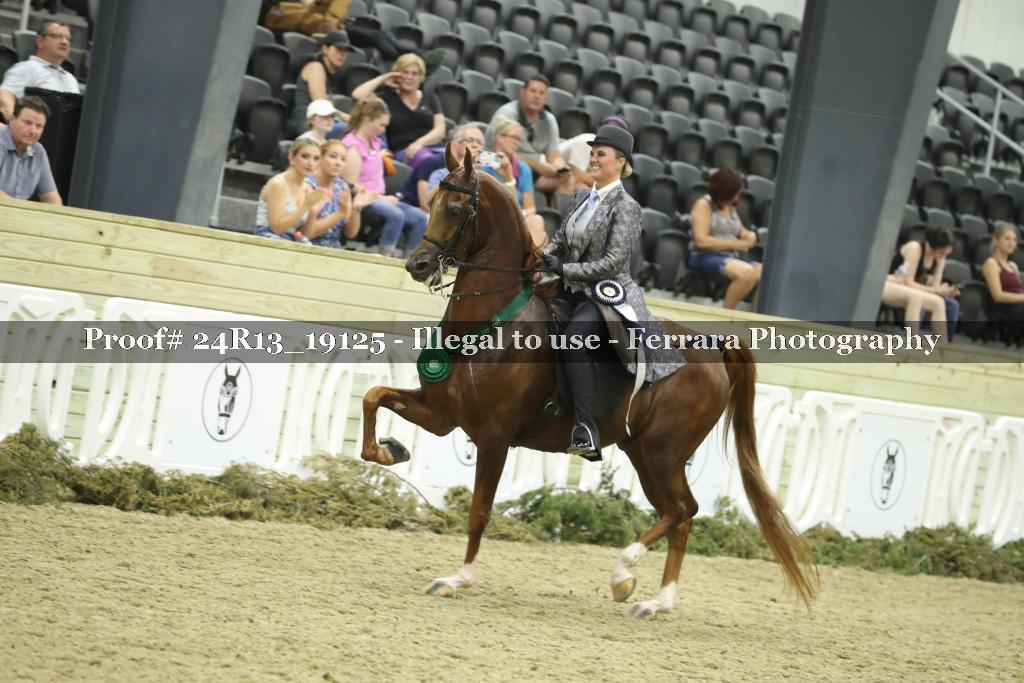 Proof 24R13_19125