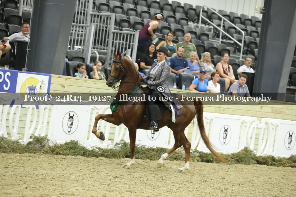 Proof 24R13_19127