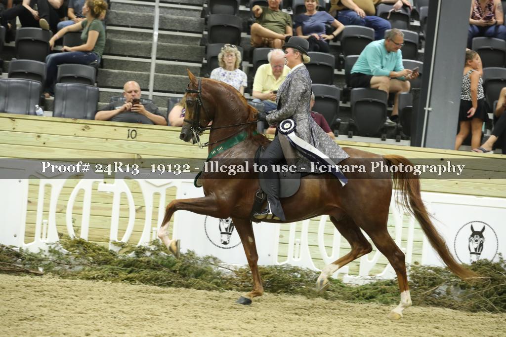 Proof 24R13_19132