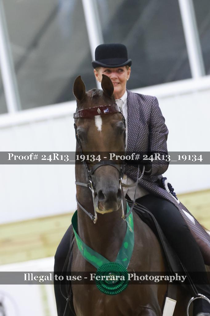 Proof 24R13_19134