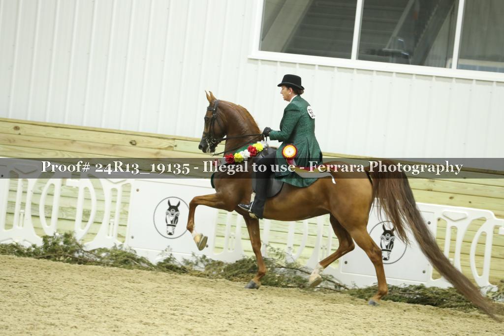 Proof 24R13_19135