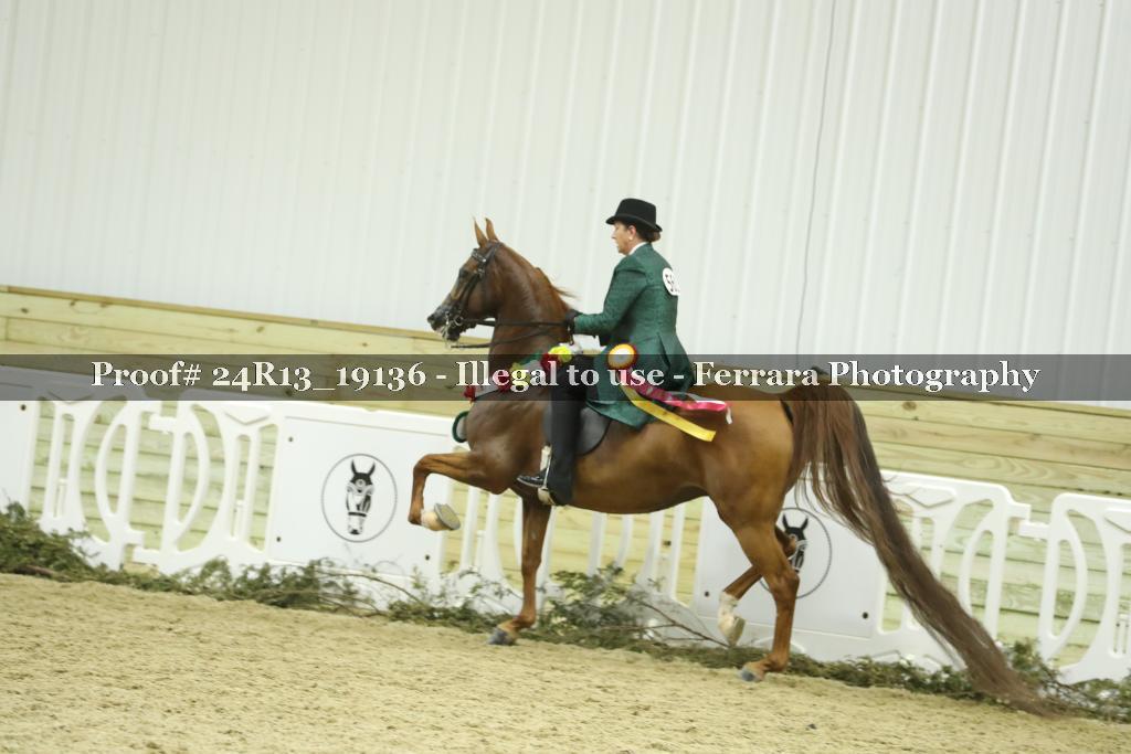Proof 24R13_19136