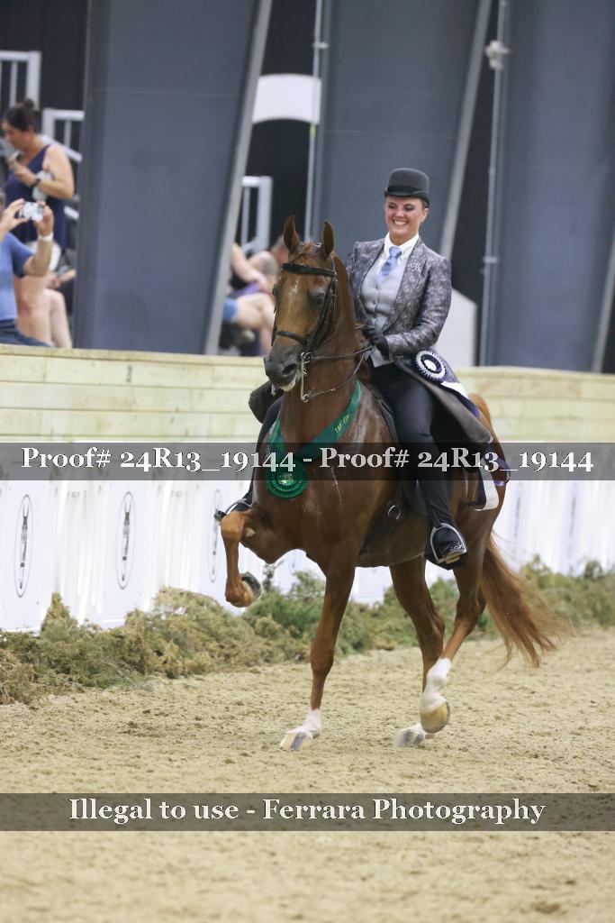 Proof 24R13_19144