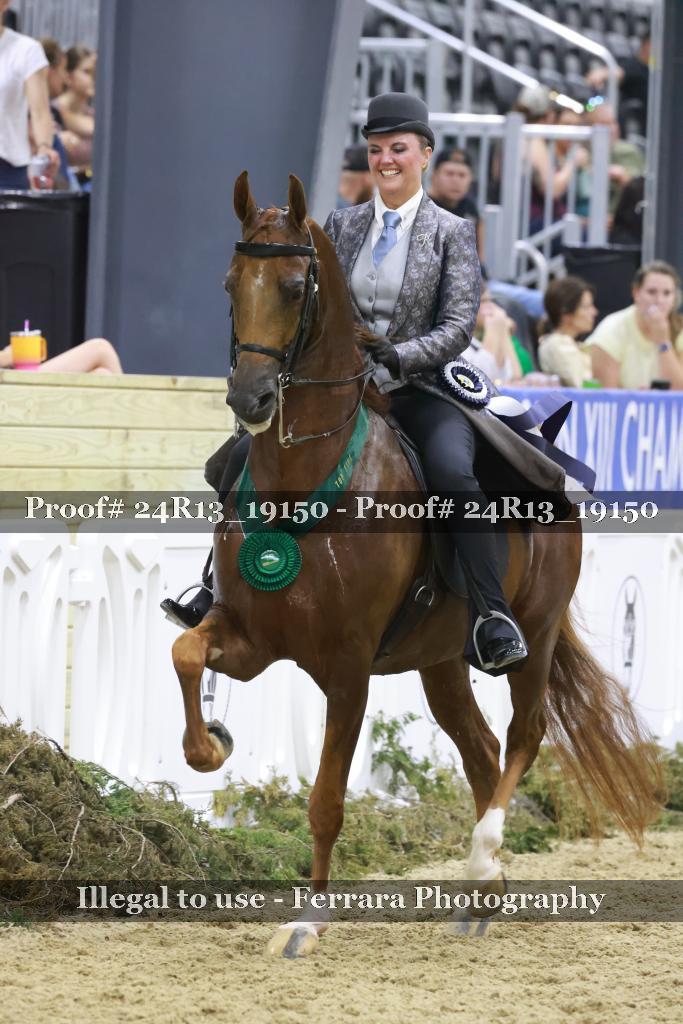 Proof 24R13_19150