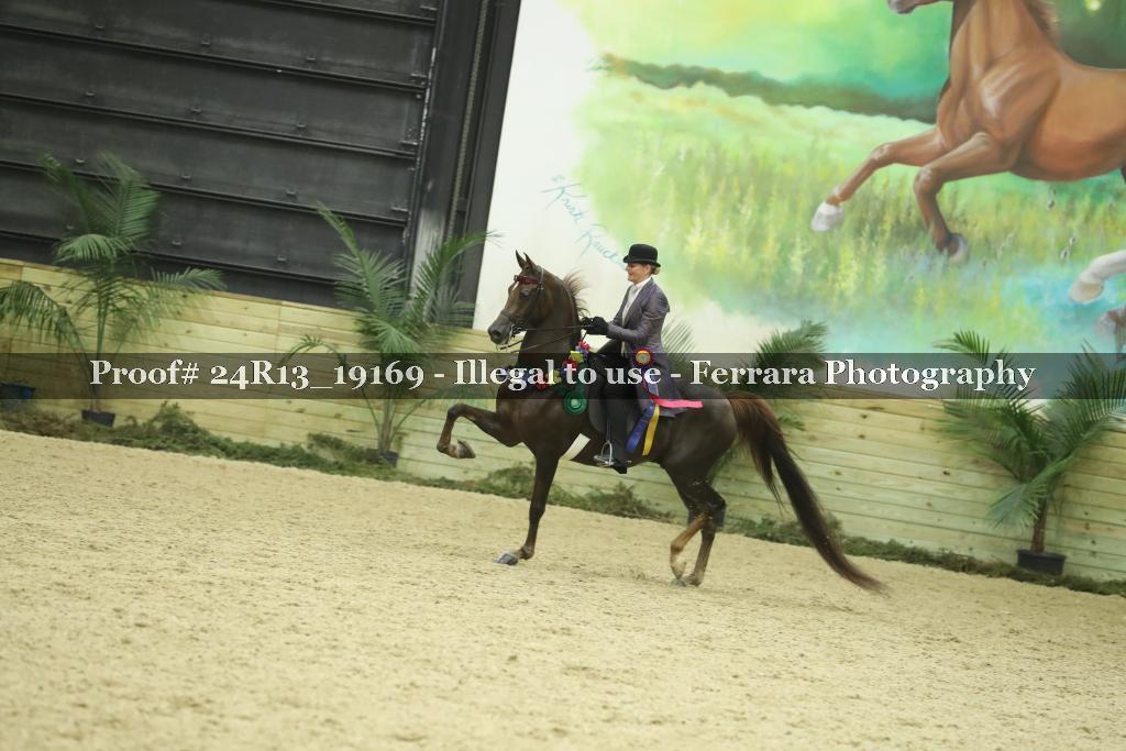 Proof 24R13_19169
