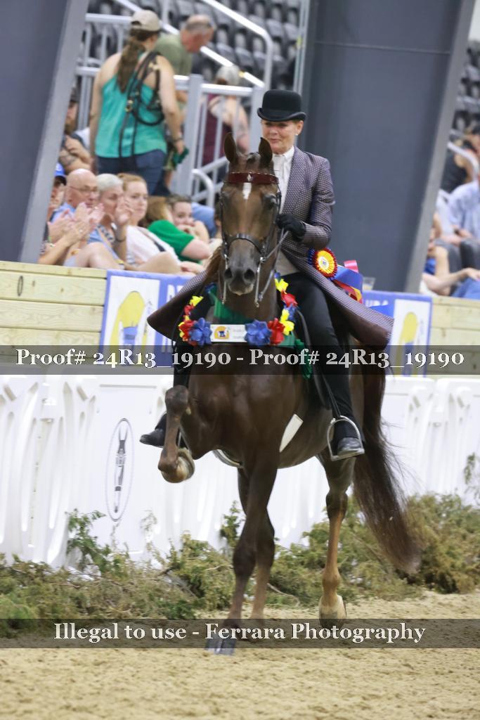 Proof 24R13_19190