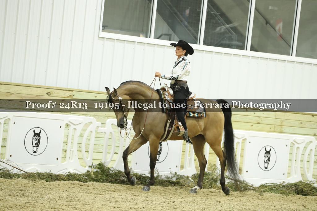 Proof 24R13_19195