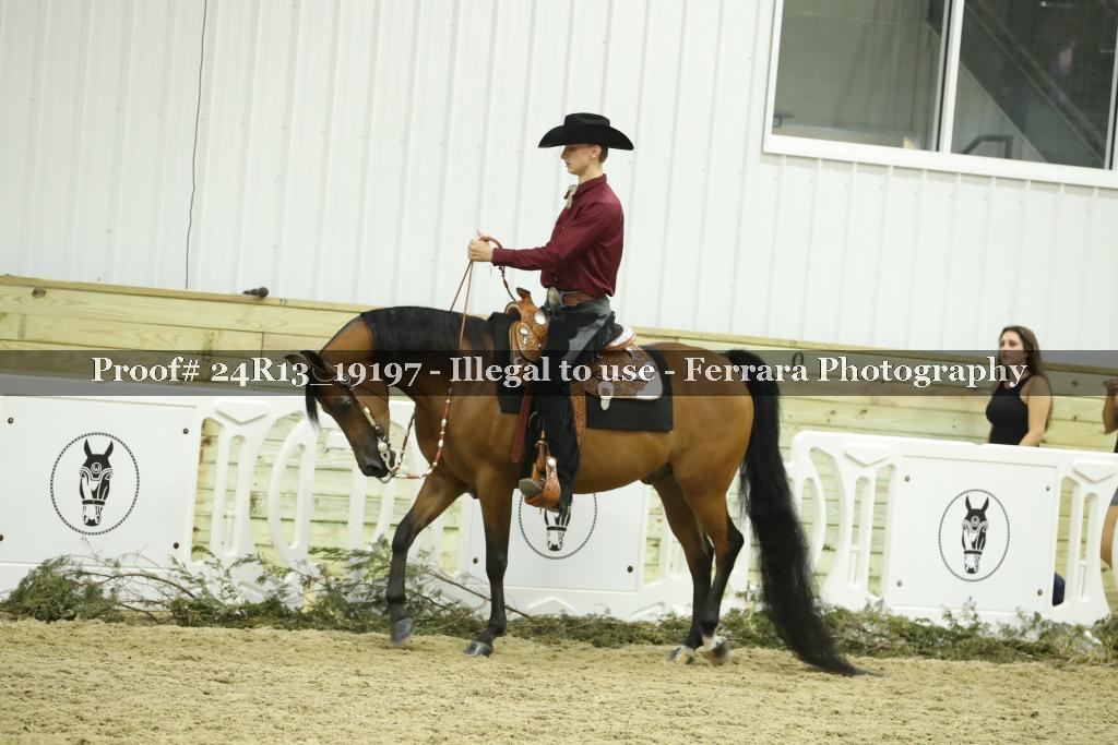 Proof 24R13_19197