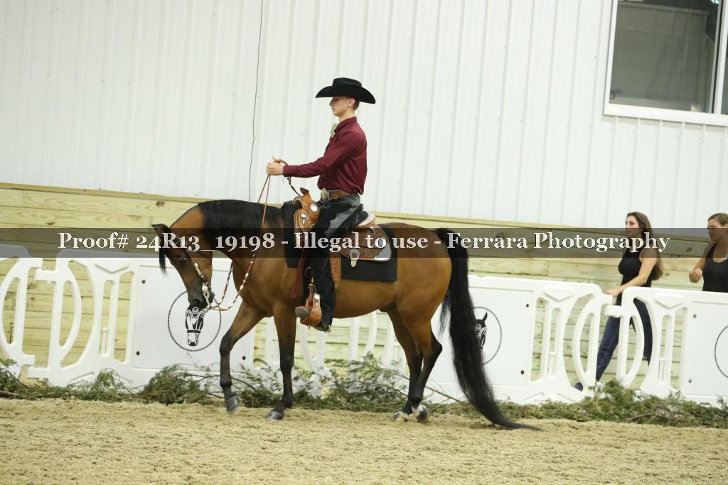 Proof 24R13_19198