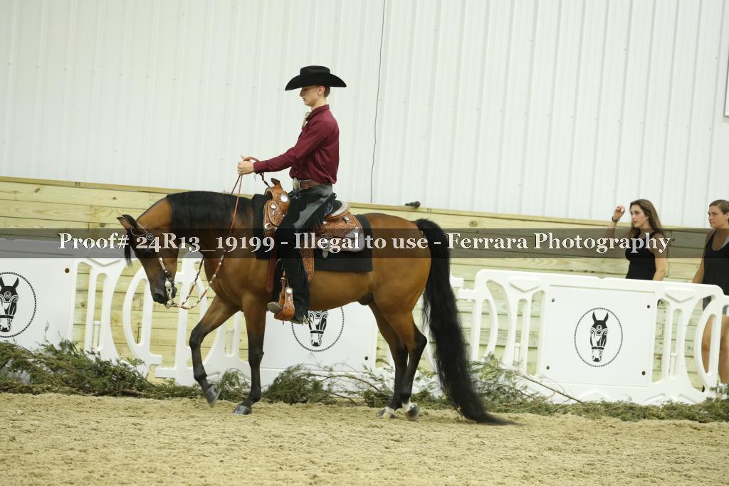 Proof 24R13_19199
