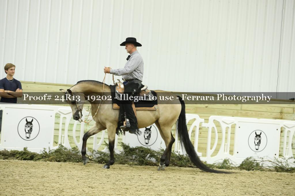 Proof 24R13_19202