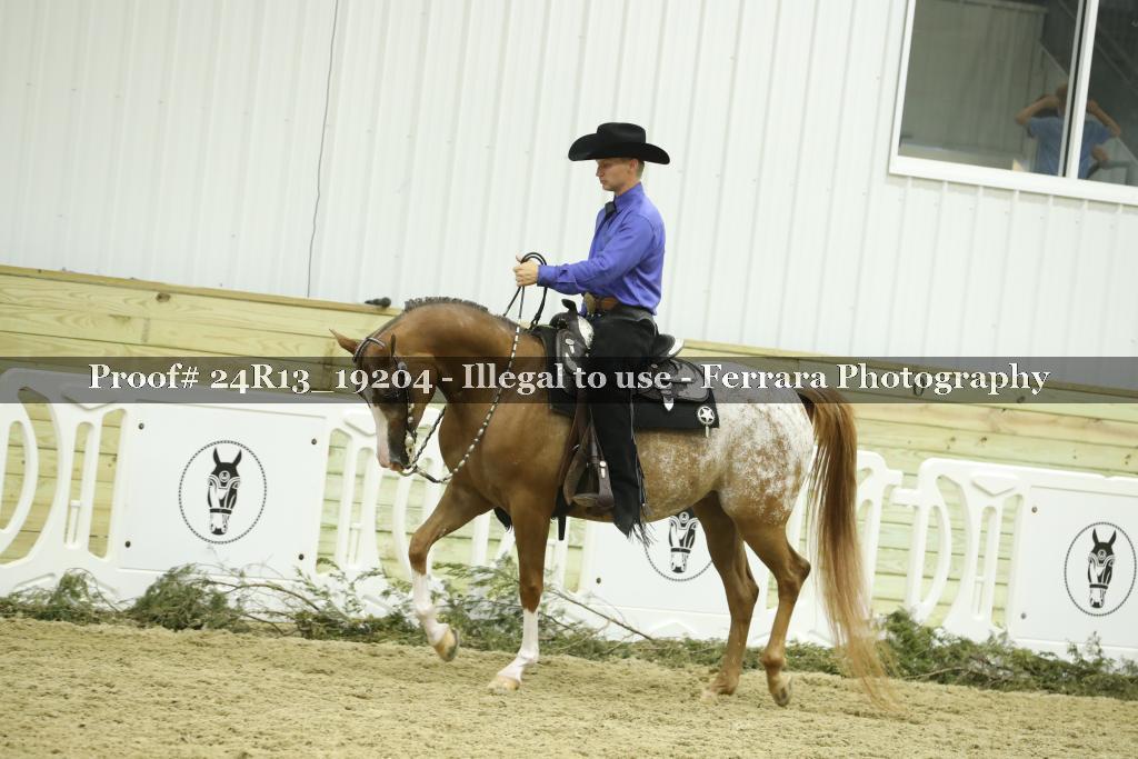 Proof 24R13_19204