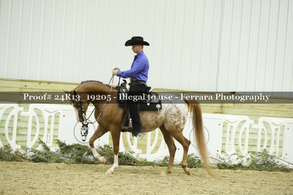 Proof 24R13_19205