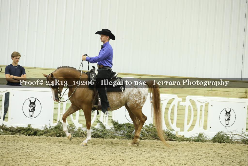Proof 24R13_19206