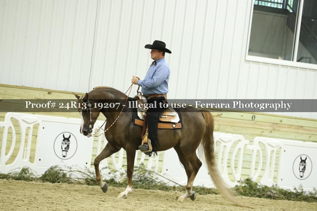 Proof 24R13_19207