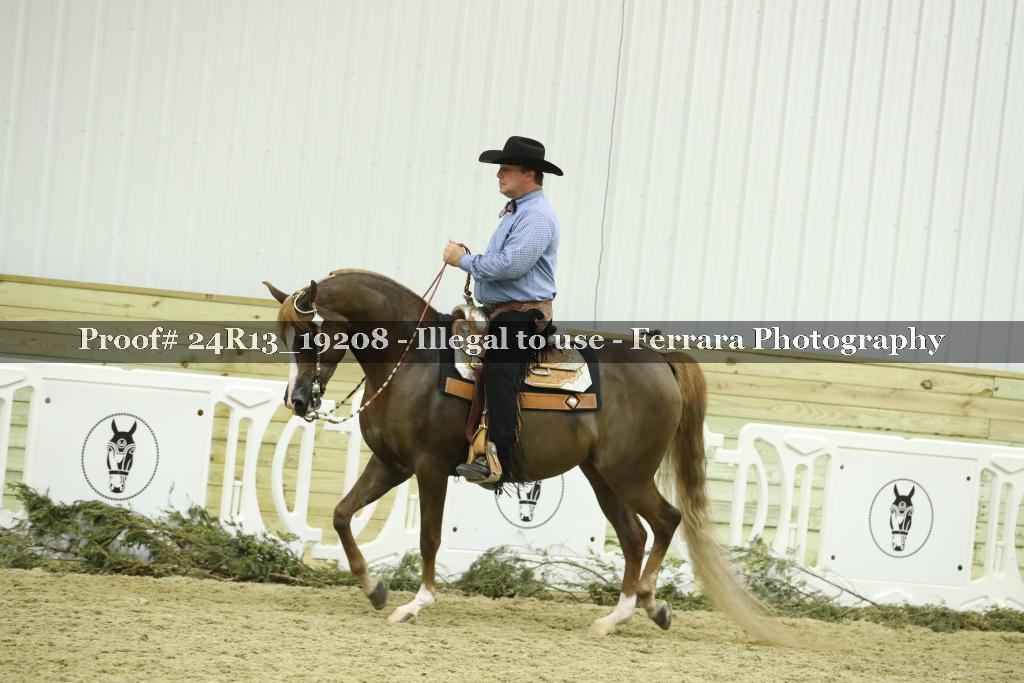Proof 24R13_19208