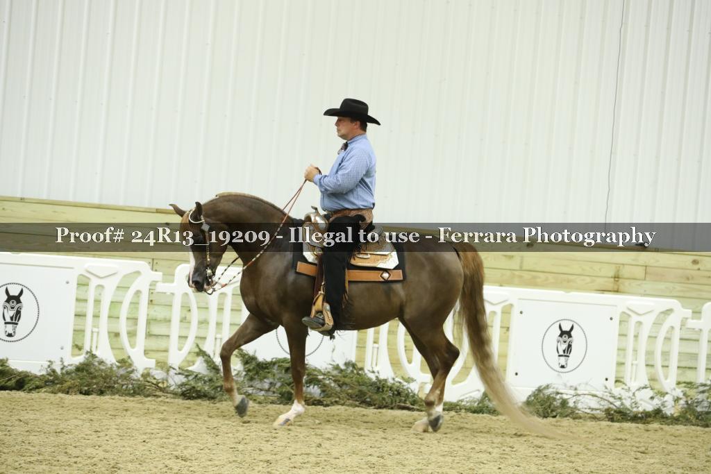 Proof 24R13_19209