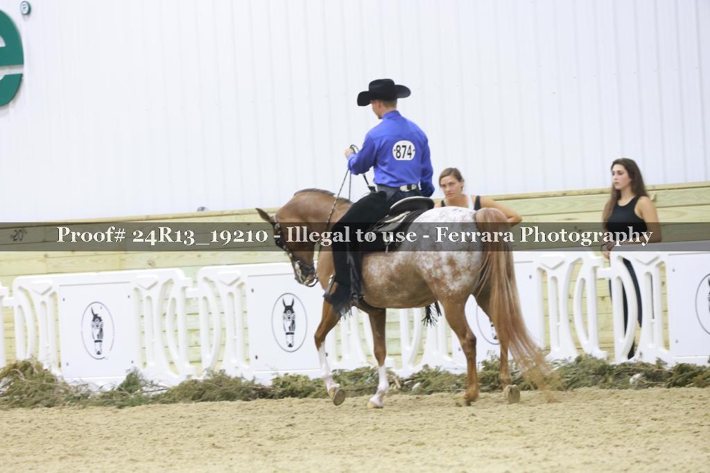 Proof 24R13_19210