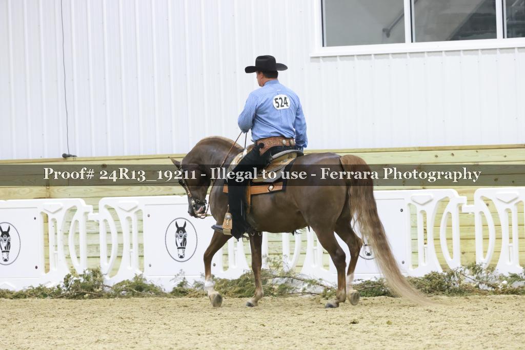Proof 24R13_19211