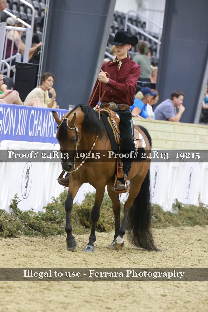 Proof 24R13_19215