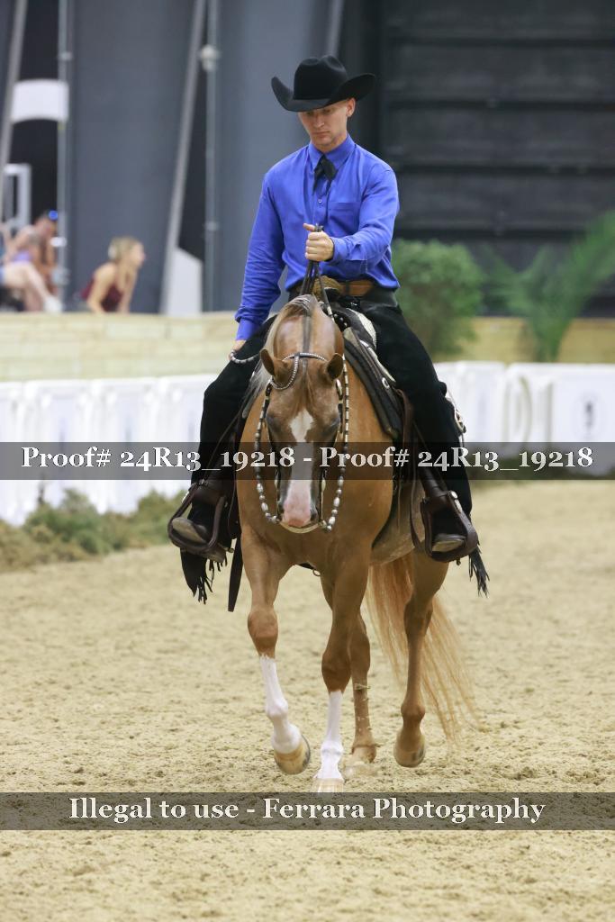 Proof 24R13_19218
