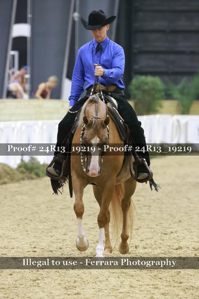 Proof 24R13_19219