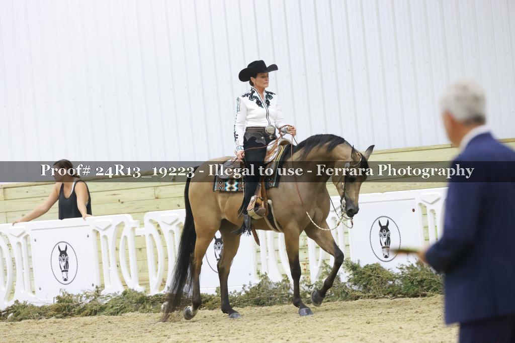Proof 24R13_19223