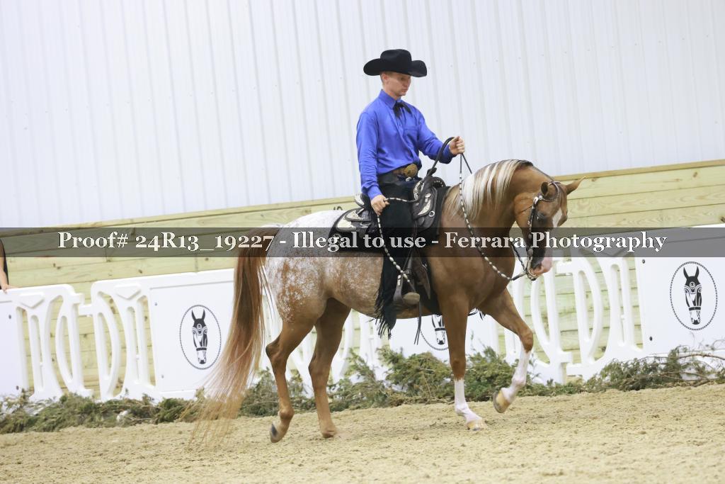 Proof 24R13_19227