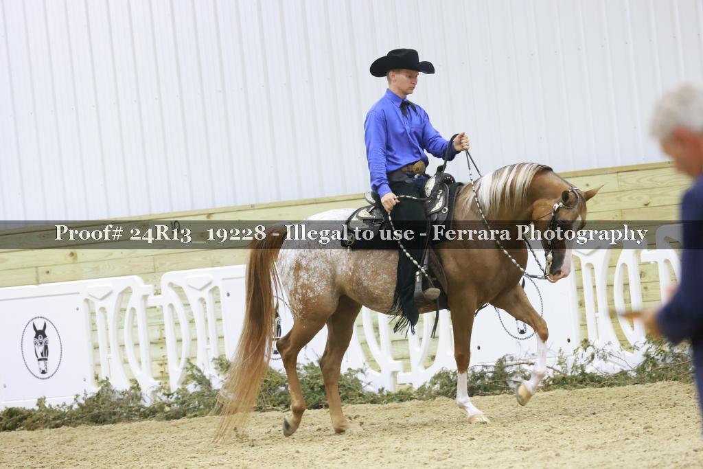 Proof 24R13_19228