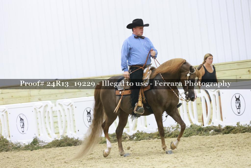 Proof 24R13_19229