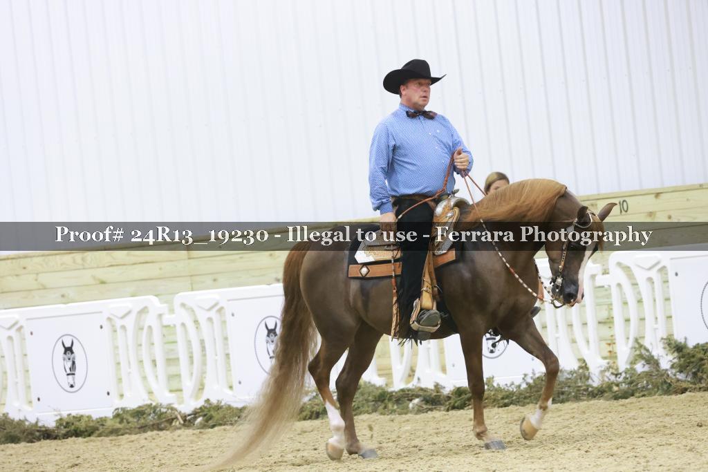 Proof 24R13_19230