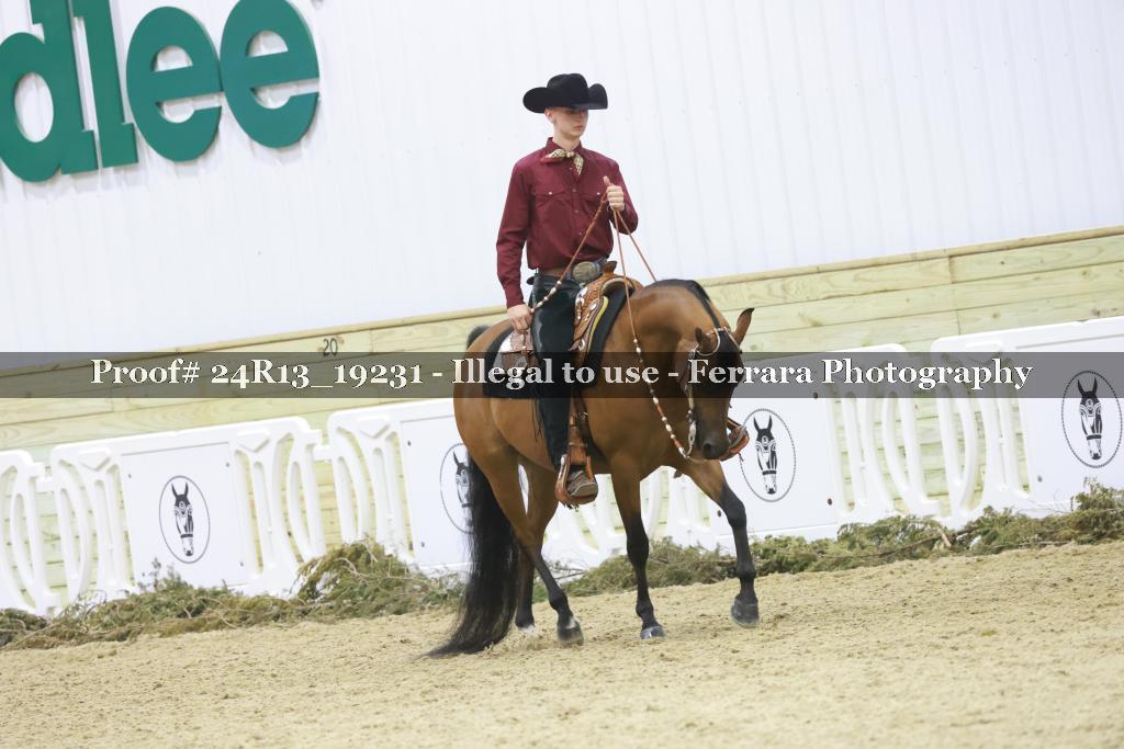 Proof 24R13_19231