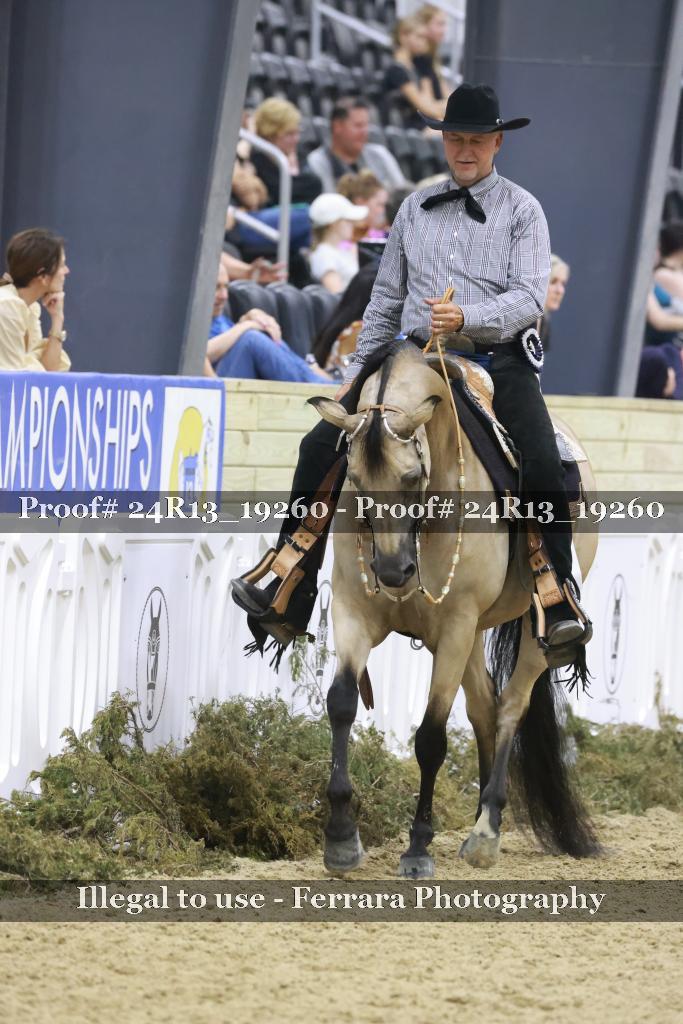Proof 24R13_19260