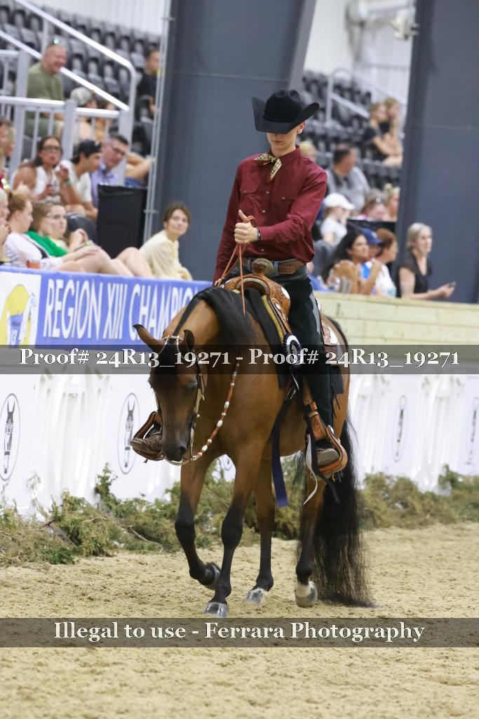 Proof 24R13_19271