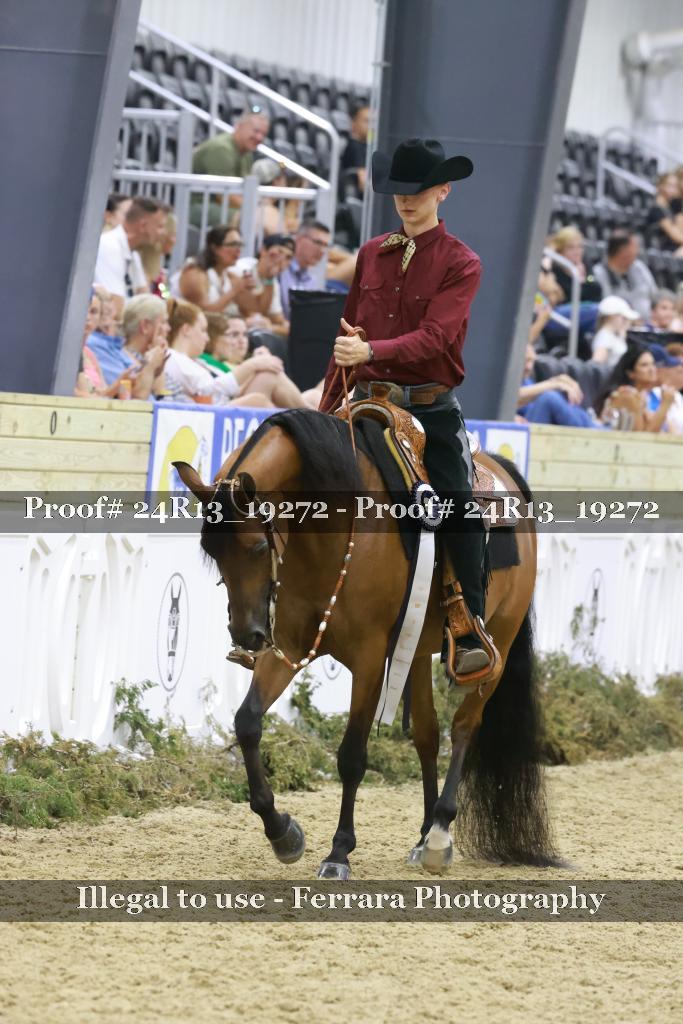 Proof 24R13_19272