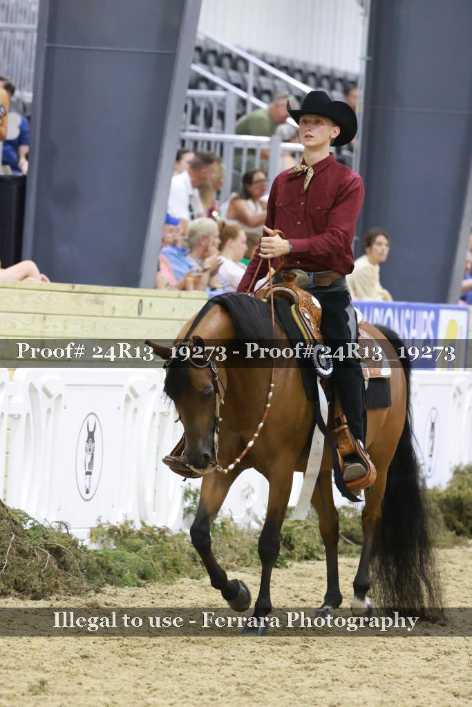 Proof 24R13_19273