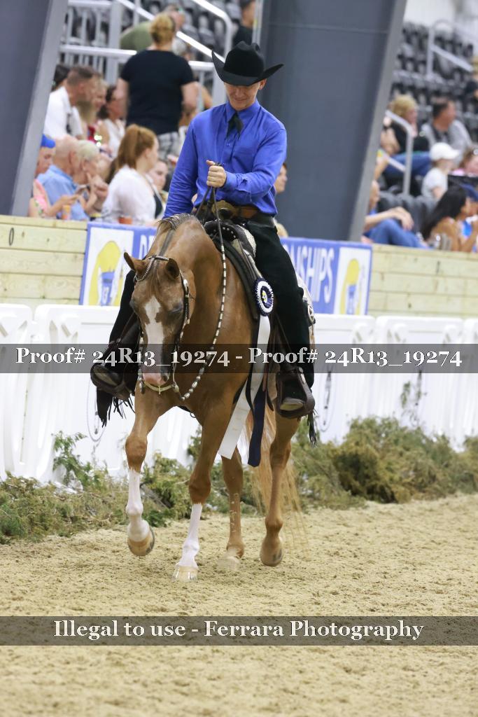 Proof 24R13_19274