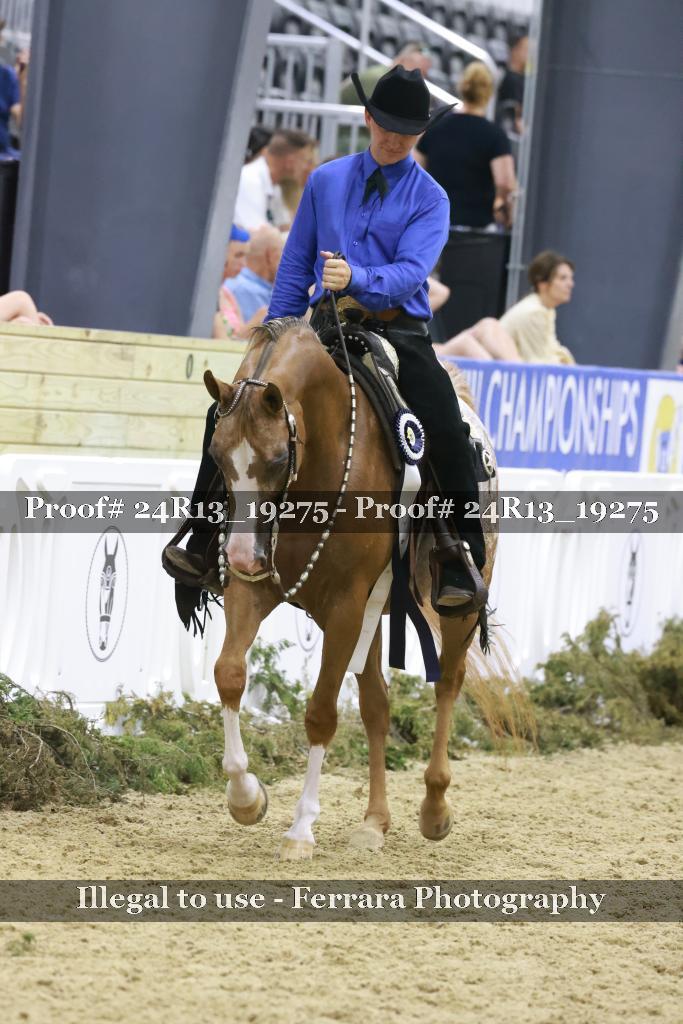 Proof 24R13_19275