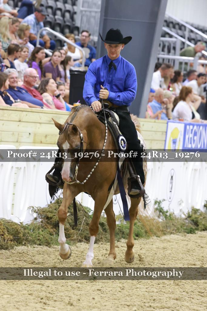 Proof 24R13_19276