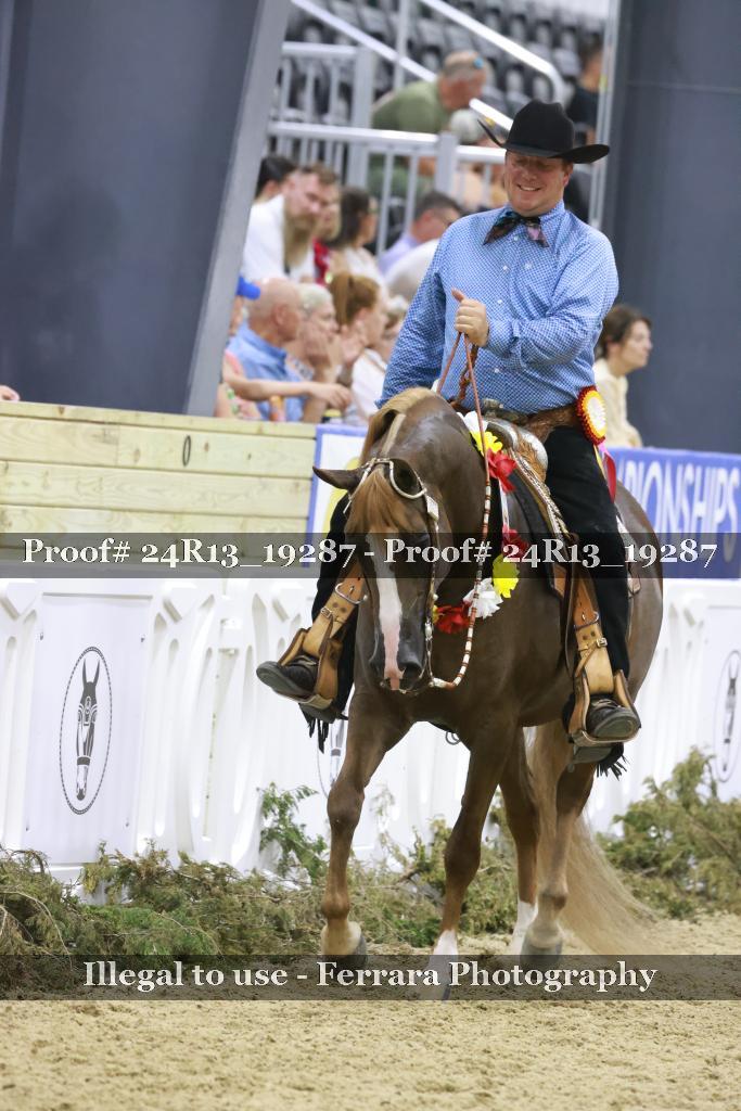 Proof 24R13_19287