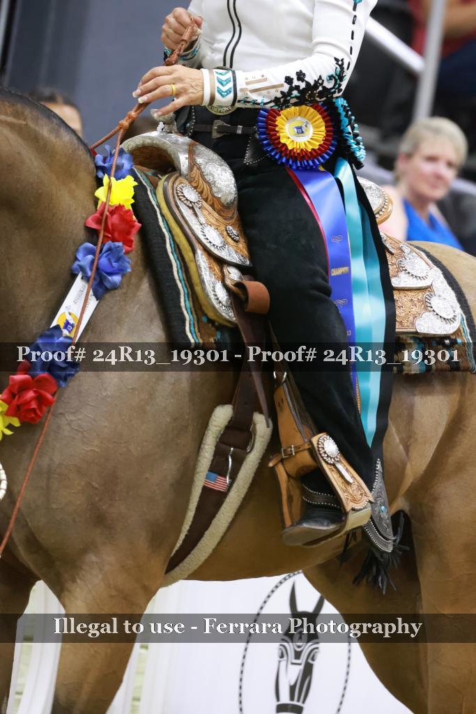 Proof 24R13_19301